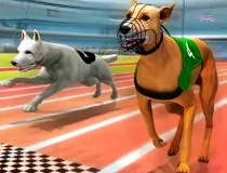 Dog Racing Simulator