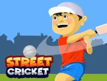 Street Cricket